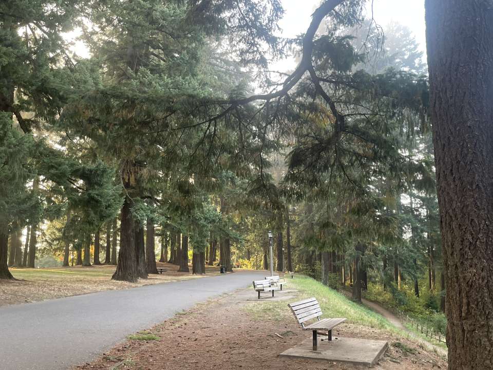 Top of Mt Tabor with benches and path
