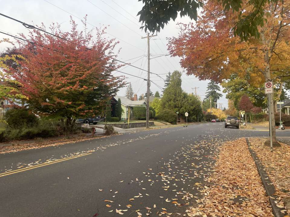 SE Lincoln in Portland during Fall